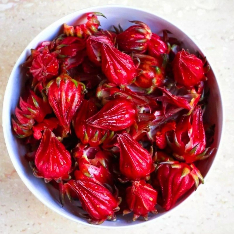 Seed-Top 50 Roselle Seeds Jamaican Sorrel Seeds Florida Cranberry Hibiscus