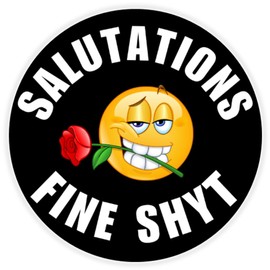 Salutations Fine Shyt - 10 Pack Circle Stickers 3 Inch - Funny Meme Gen Z Alpha Brain Rot Slogan