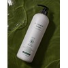 Abka [아브카] 클리닉 가려운 두피 컨트롤 비듬 케어 샴푸 1L [ABK] Clinic Itchy Scalp Control Dandruff Care Shampoo 1L