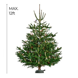 Krinner Christmas Tree X-12 Deluxe - Green Tree Stand - Original Single Cable Operation, Holds up to 12 ft Live Trees - Foot Pedal Setup & Water Reservoir with Level Indicator - German Made