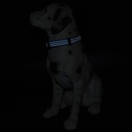 Mile High Life | Dog Collar | Nylon Thick Fabric | with Reflective Straps Three Line | Lime Green Hot Blue Pink Purple Red Color