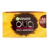 Garnier Olia Ammonia Free Hair Dye - Covers White Hair