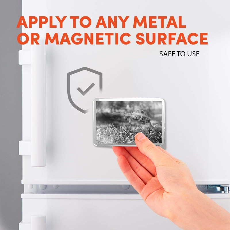 1 x Fridge Magnet - Tortoise Turtle Jumping Frisbee #36328