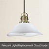 Aspen Creative 25308-60-1, Clear Glass Shade for Medium Base Socket