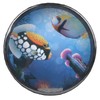 Hand Drum Sea Sound Ocean Wave Orff Percussion Children 10in