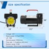 Diesel Transfer Pump Kit, 12V Fuel Transfer Pump with Hose