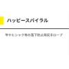 ヤマシタ(YAMASHITA) 尻手ロープ ハッピースパイラル M クリアブルー QHSMCBL