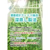 Chawaya Kakegawa Autumn Bancha, 3.3 lbs (1.5 kg)