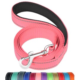 FunTags 6FT Reflective Dog Leash with Soft Padded Handle for Training,Walking Lead for Large & Medium Dog,1 Inch Wide,Neon Pink
