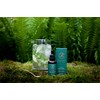 Gallybird Stevia Drops 50ml - Calorie Free Sugar Alternative
