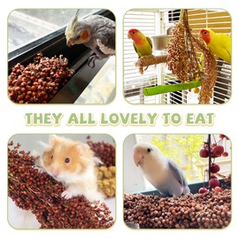 Fhiny Fhiny Millet Spray for Birds, 3 PCS Natural Sun-Dried Red Sorghum Grain for Birds Seed Original Parrot Treats & Supplement Parakeet Food for Cockatiels Lovebirds Finches Budgies Pigeons Hamsters