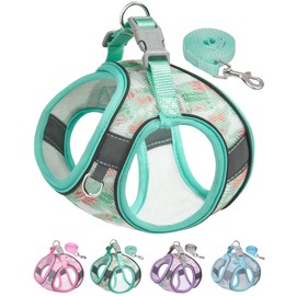 Aecllcea No-Pull Dog Harness Set - Step-In, Cat Harness & Leash, Small to Medium Sizes (Green, S)