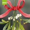 Hanging Mistletoe Sprig Christmas Window Stickers Reusable - Double Sided