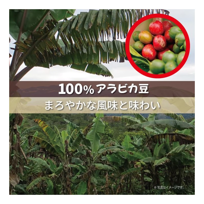 Mount Hagen Organic Fair Trade Instant Coffee 100g 2 Count