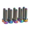 Dingtai Titanium Bolts M6 1.0 inch (25 mm) Allen Hex