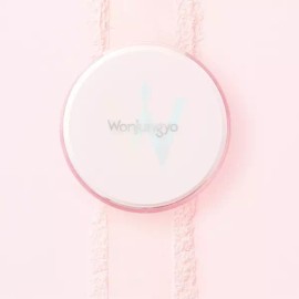 요철모공커버 원정요 픽싱 블러 파우더 2colors 301527 Pore Cover Fixing Blur Powder 2colors [N02 Plain Beige]