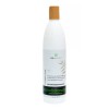 Beohemp Shampoo De Coco Sin Sulfatos Ni Parabenos Beohemp 500ml