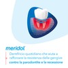 Meridol Parodont Expert toothpaste 75 ml