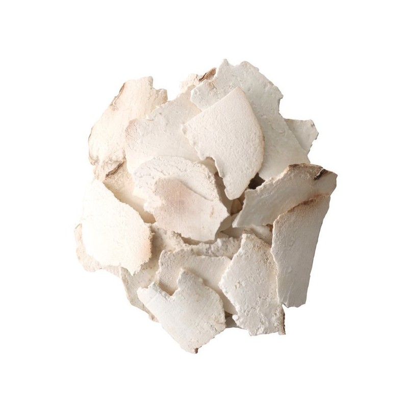 Donguihanjae 동의한재 중국산 햇 백복령 600g Donguihanja Chinese Fresh White