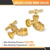 5-Pack HeSun Brass No-Kink Hose Bibb Valve, 1/2" MIP Inlet