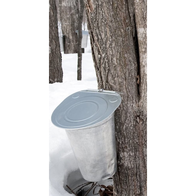 Traverse Bay Farms 100% Maple Syrup from Michigan (Combo Kit)