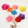Holz Rattanstäbchen Blumen Diffusor Stöcke Stäbchen 20 Stücke Duftstäbchen Raumduft