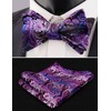 Alizeal Men's Fashion Adjustable Self-Tie Bowties with Pocket Square Set