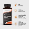 Lifeseasons Lse Cúrcuma Fitosoma 500mg 60caps Sfn