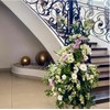 Oasis Jardinera Espuma Floral (Caja) (Mini Jardinera)