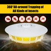 2 Pack Flea Trap Light for Indoor & Outdoor Use,