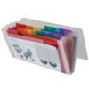 Liderpapel 43804 Polypropylene Folders for Letters and Cheques Spectrafile 13
