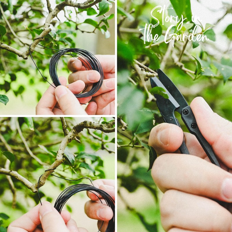 15-Piece Bonsai Tree Kit, Bonsai Tool Set, Bonsai Starter Kit,