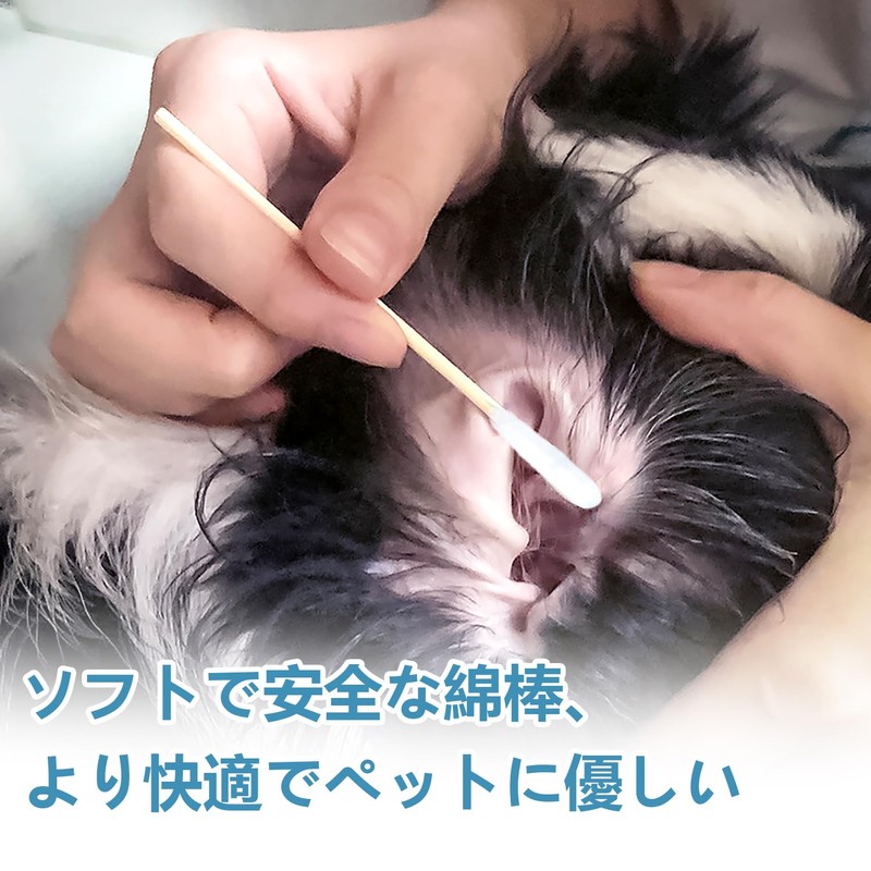 長い 耳掃除用綿棒 犬の綿棒 犬用綿棒 犬 猫 綿棒 ペット用 100本入り ロング綿棒