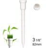 Lignum 82MM ECOLINE TEES 12PK