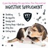 Bugalugs Probiotics For Dogs - Powder, Simple To Add To