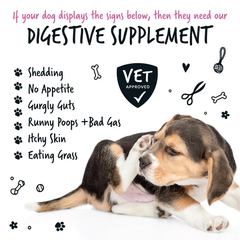 Bugalugs Probiotics For Dogs - Powder, Simple To Add To