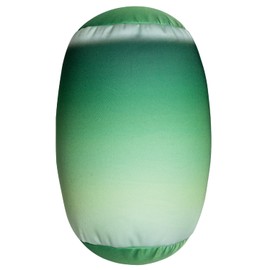 FABSKIY Squishy Microbead Neck Pillow, 7Inch x 12Inch Soft Travel Body Bed Pillow Bean Pillow for Kids Adult Chair Sleeping Car Seat, Fun Dormroom (Parrot Green Coloful)