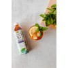 Teas' Tea Unsweetened Mint Green Tea 16.9 Fl Oz (Pack