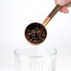 Wanjorlay Coffee Bean Measuring Spoon Solid Wood Copper Measuring Spoon