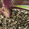Horticultural Organic Vermiculite by GARDENERA - Medium Grade - Natural