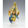Bandai Saint Cloth Myth APPENDIX Aquarius Camus