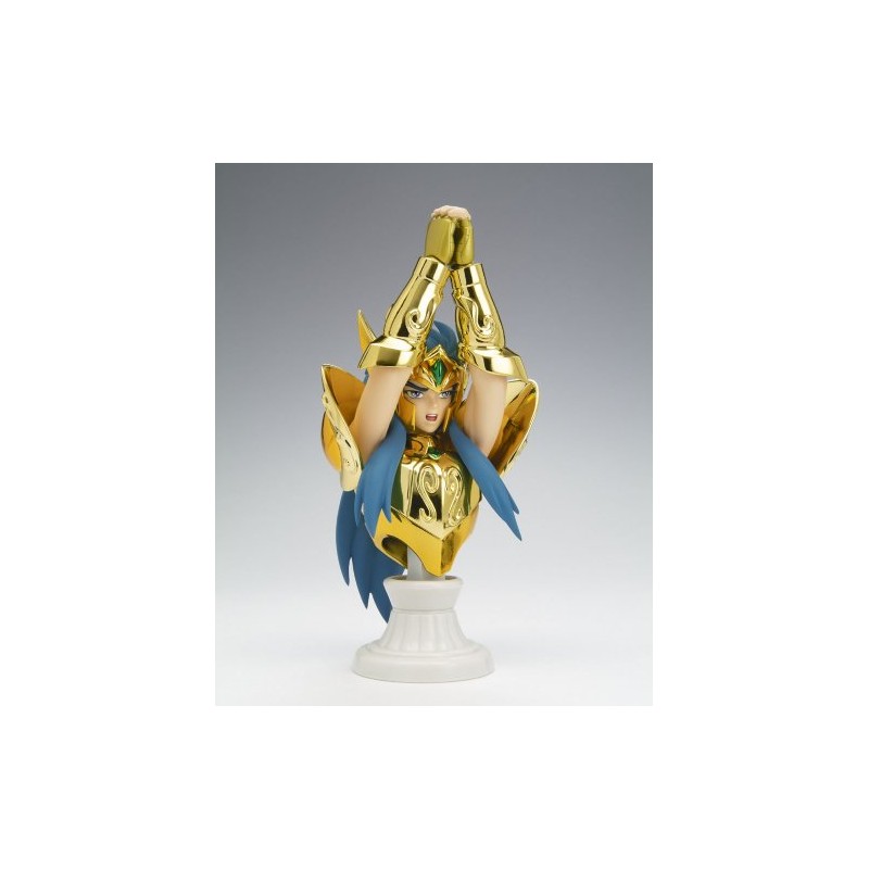 Bandai Saint Cloth Myth APPENDIX Aquarius Camus