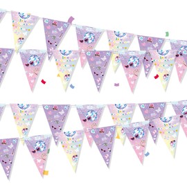 SINGOMON 6 Sets TS Music Singer Birthday Party Decorations TS Merch Purple Pennant Banner Music Singer Fabric Triangle Flag Bunting Garland for Birthday Bacheroette Disco Party Decorations