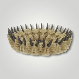 MIK funshopping Ingenious Ashtray in Alien & Mystic Design - Makes Any Room Your Personal Universe! Unique Ashtray Hand Painted for SciFi & Fantasy Fans (Dragon Skull Round)