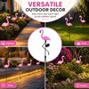 Peacock Solar Garden Light for Outdoor Decor – IP65 LED