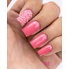NAIL FACTORY - POWGEL Collection, Set de 6 Polvos Acrílicos