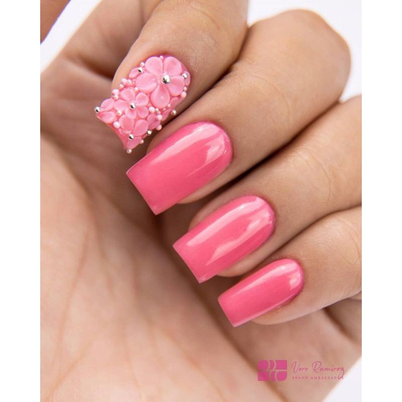NAIL FACTORY - POWGEL Collection, Set de 6 Polvos Acrílicos