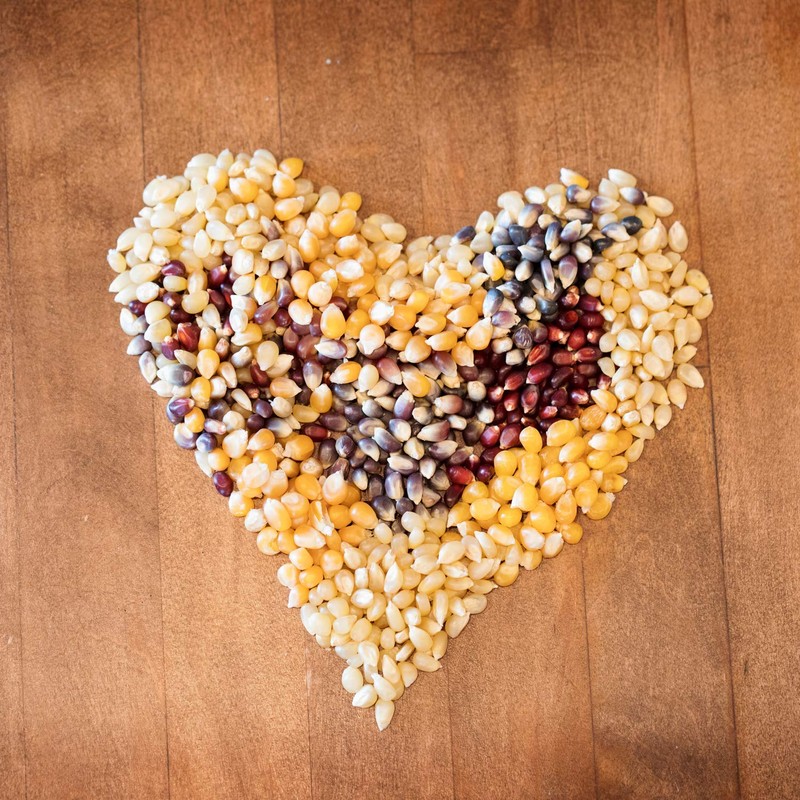 Amish Country Popcorn | Old Fashioned Microwave Popcorn | Non-GMO,