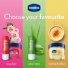 Vaseline - 2 Pack Bálsamo para Labios Mini Tarro HIDRATACIÓN