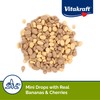 Vitakraft Mini Drops Cherry Banana Treats for Hamsters Rats Mice